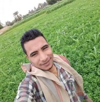 Marriage website Dating website