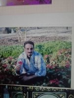 Marriage website Dating website