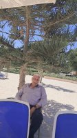 موقع زواج موقع تعارف